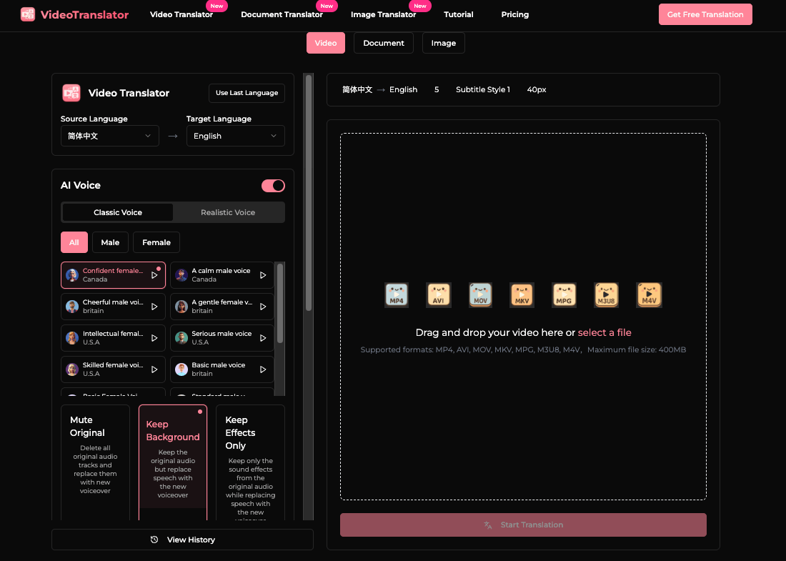 VideoTranslator Main Interface
